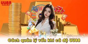 Cách quản lý vốn khi cá độ UU88